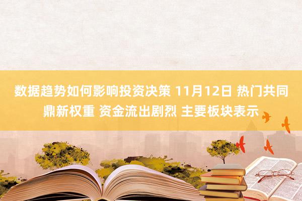 数据趋势如何影响投资决策 11月12日 热门共同鼎新权重 资金流出剧烈 主要板块表示