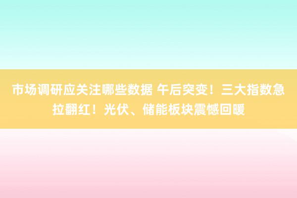 市场调研应关注哪些数据 午后突变！三大指数急拉翻红！光伏、储能板块震憾回暖