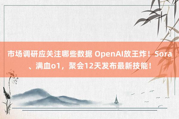 市场调研应关注哪些数据 OpenAI放王炸！Sora、满血o1，聚会12天发布最新技能！