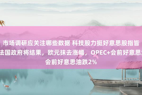 市场调研应关注哪些数据 科技股力挺好意思股指皆新高，法国政府将结果，欧元抹去涨幅，OPEC+会前好意思油跌2%