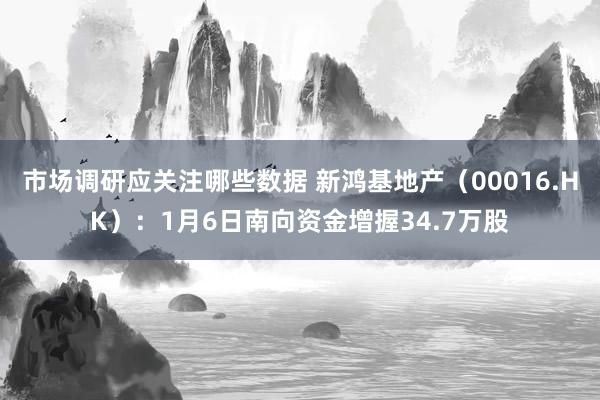 市场调研应关注哪些数据 新鸿基地产（00016.HK）：1月6日南向资金增握34.7万股