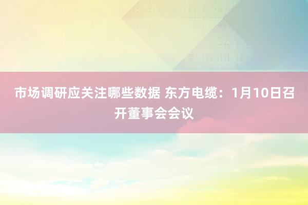 市场调研应关注哪些数据 东方电缆：1月10日召开董事会会议