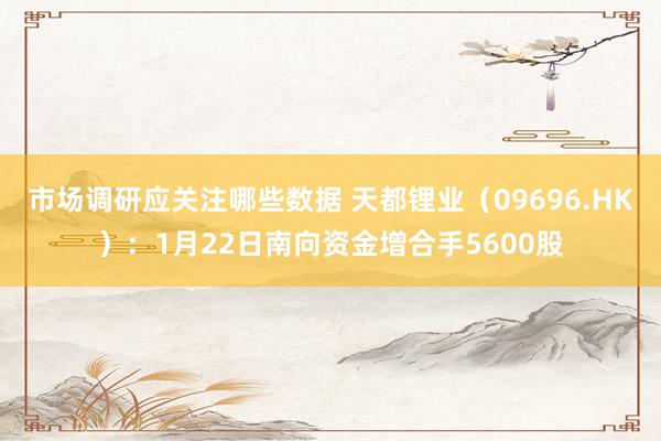 市场调研应关注哪些数据 天都锂业（09696.HK）：1月22日南向资金增合手5600股