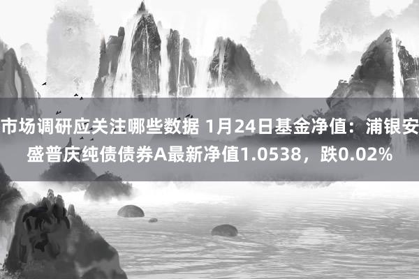 市场调研应关注哪些数据 1月24日基金净值：浦银安盛普庆纯债债券A最新净值1.0538，跌0.02%