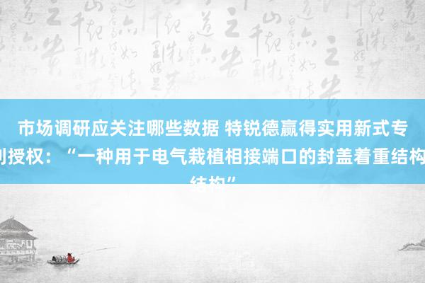 市场调研应关注哪些数据 特锐德赢得实用新式专利授权：“一种用于电气栽植相接端口的封盖着重结构”