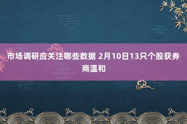 市场调研应关注哪些数据 2月10日13只个股获券商温和