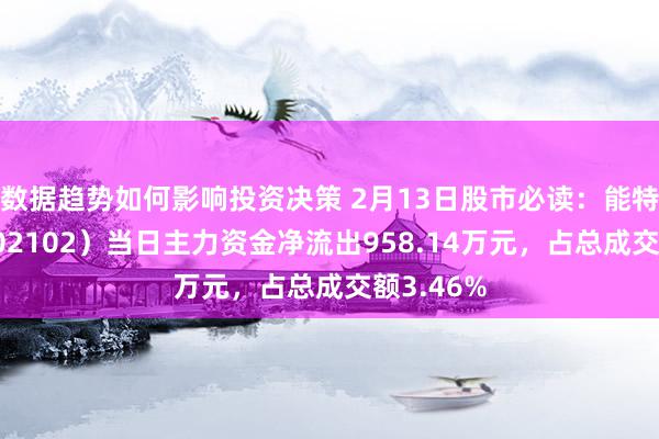 数据趋势如何影响投资决策 2月13日股市必读：能特科技（002102）当日主力资金净流出958.14万元，占总成交额3.46%