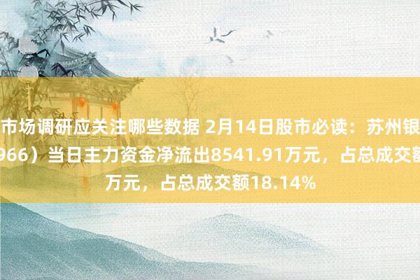 市场调研应关注哪些数据 2月14日股市必读：苏州银行（002966）当日主力资金净流出8541.91万元，占总成交额18.14%