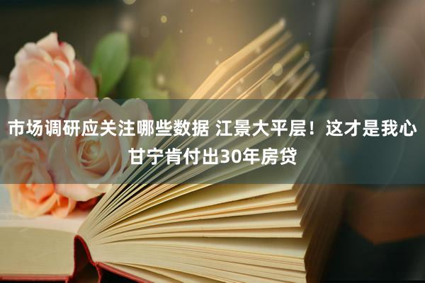 市场调研应关注哪些数据 江景大平层！这才是我心甘宁肯付出30年房贷