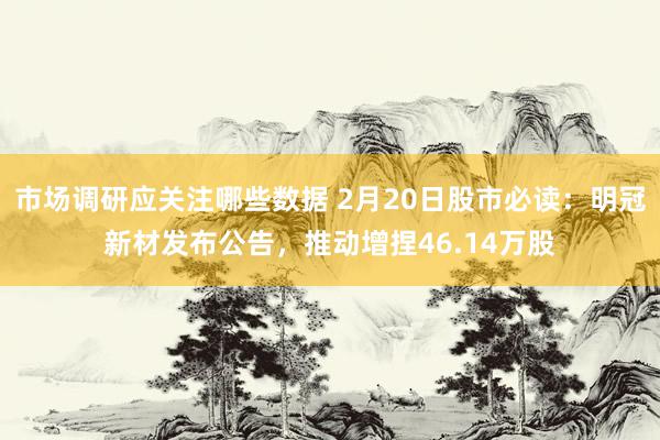 市场调研应关注哪些数据 2月20日股市必读：明冠新材发布公告，推动增捏46.14万股