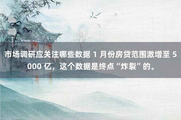 市场调研应关注哪些数据 1 月份房贷范围激增至 5000 亿，这个数据是终点“炸裂”的。