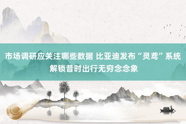 市场调研应关注哪些数据 比亚迪发布“灵鸢”系统 解锁昔时出行无穷念念象