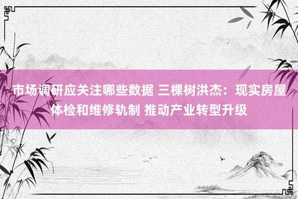 市场调研应关注哪些数据 三棵树洪杰：现实房屋体检和维修轨制 推动产业转型升级